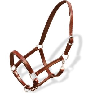 vidaXL Ronzal/Cabestro de Cuero Marrón Ajustable Para Caballo Percherón