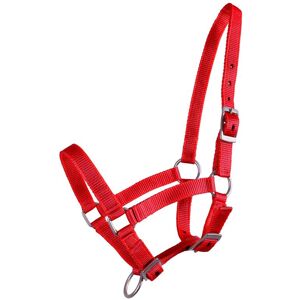 Licol pour poulain de QHP, réglable sur 3 positions, rouge, taille 04