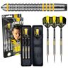 Harrows Chizzy Dave Chisnall Steel 80% 21g