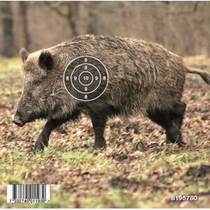 Gyttorp Target Airgun Boar Nocolour OneSize, Nocolour