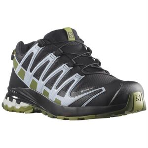 Salomon XA Pro 3D v8 GTX Womens, Black / Zen 44