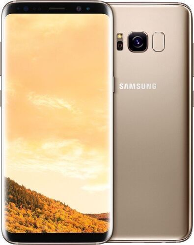 Samsung Wie neu: Samsung Galaxy S8   64 GB   gold   Single-SIM