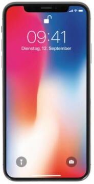 Apple iPhone XS Max 256GB grau