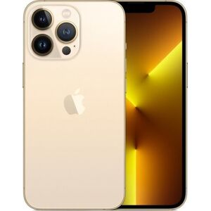 Apple iPhone 13 Pro   1 TB   Dual-SIM   gold