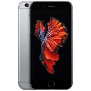 Apple Begagnad iPhone 6s 64GB Rymdgrå - Bra skick