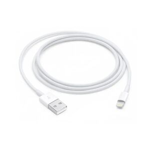 Apple Cavo da lightning a USB 1mt