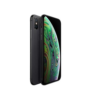 Apple iPhone XS 256GB grigio siderale Usato Grado A