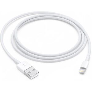 Apple Cavo da lightning a USB 1mt