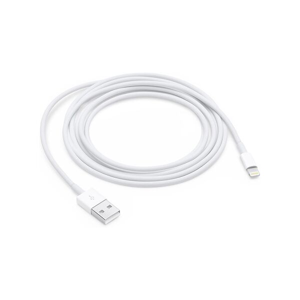 apple cavo da lightning a usb 2mt