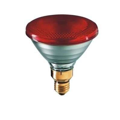 Philips Ampoule infrarouge 100 W