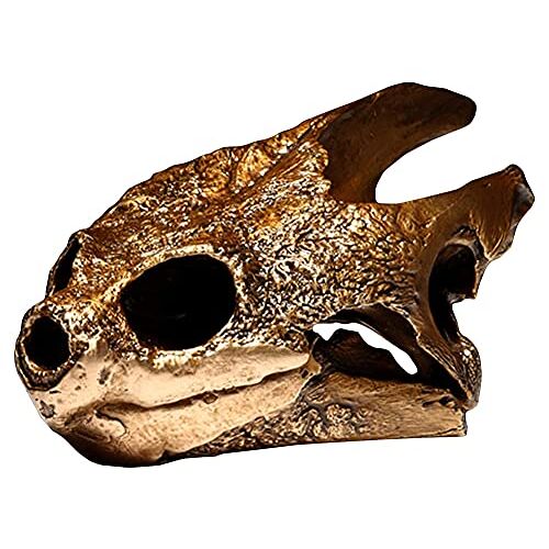 GaRcan Torso en skelet modellen anatomisch, schildpad schedel model voor anatomie levensgrote replica hars medische anatomische bijtschildpad onderwijs skelet exquise