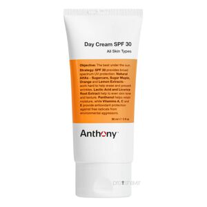 Anthony Logistics Anthony Day Cream, SPF 30, 90 ml.