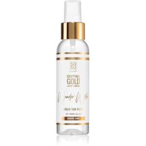 Dripping Gold Wonder Water Hello Tan brume auto-bronzante visage Medium - Dark 100 ml