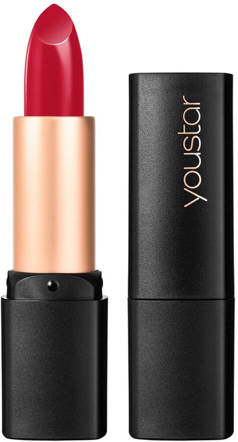 youstar Intense Colour Lipstick Nr. 04 Passion 3.0 g