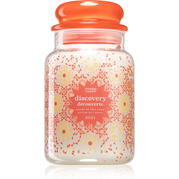 Yankee Candle Aromatická svíčka Classic velká Discovery 623 g