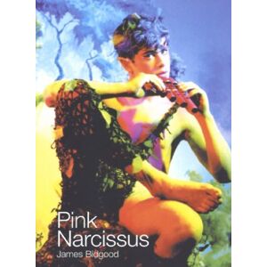 Don Brooks Pink Narcissus