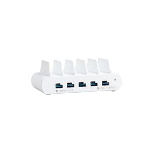 Compulocks Group Compulocks 5 Port USB-C and USB-A Charging Dock with EU - Opladningsstation - 150 Watt - 10 output-stikforbindelser (5 x 4 pin USB Type A, 5 x USB-C) - Den Europæiske Union