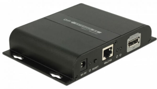 DeLock 65946 - DisplayPort Empfänger für Video über IP