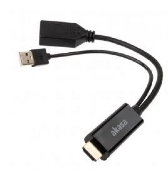 Akasa HDMI zu DisplayPort Adapater Kabel - schwarz