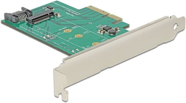 DeLock 89381 - PCI Express Karte > 1 x intern M.2 NGFF