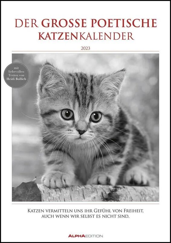 Alpha Der große poetische Katzenkalender 2023 - Bildkalender A3 (29,7x42 cm) - mit...