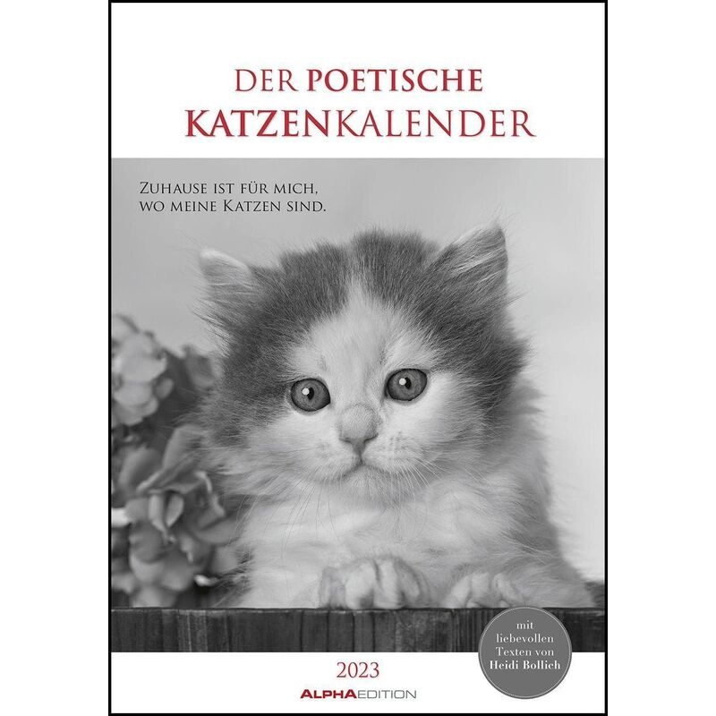 Alpha Der poetische Katzenkalender 2023 - Bild-Kalender 23,7x34 cm - mit schönen...