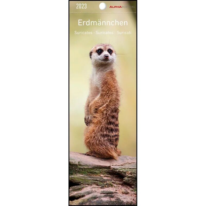 Alpha Erdmännchen 2023 - Lesezeichenkalender 5,5x16,5 cm - Suricates - Tierkalender...