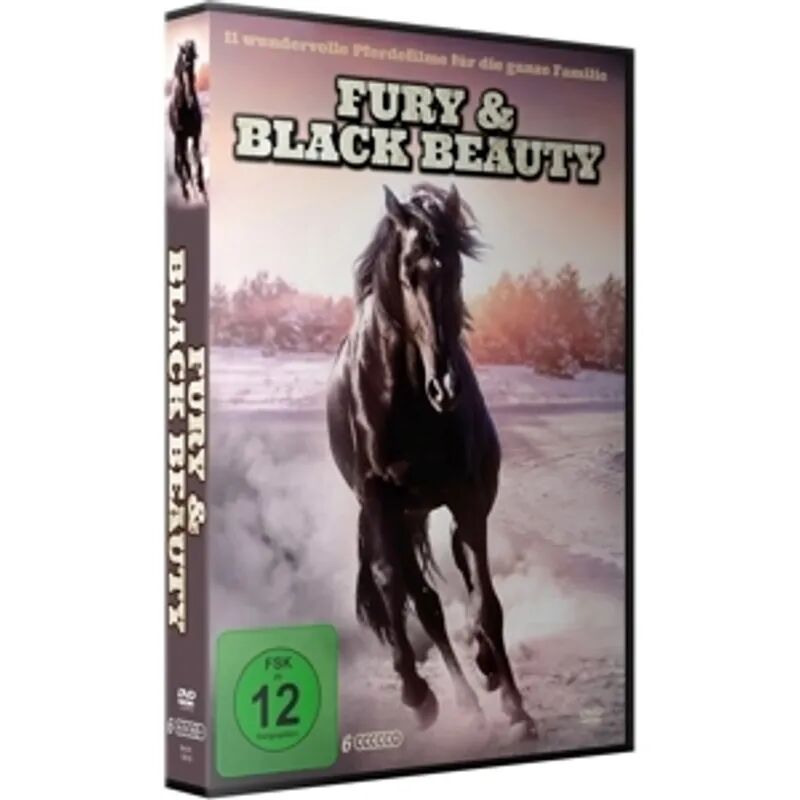 Tonpool Medien Fury & Black Beauty