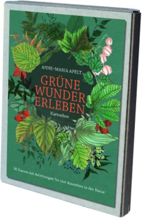 Adeo Grüne Wunder erleben - 36 Karten mit Anleitungen für vier Auszeiten in der Natur