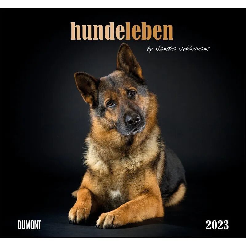 DuMont Kalenderverlag Hundeleben 2023 - DUMONT Wandkalender - mit den wichtigsten Feiertagen -...
