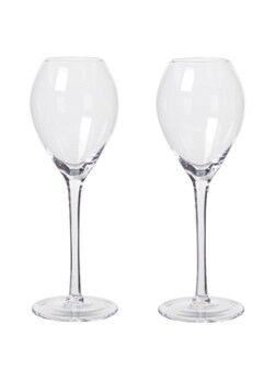 Sagaform Saga champagneglas 20 cl set van 2 - Transparant