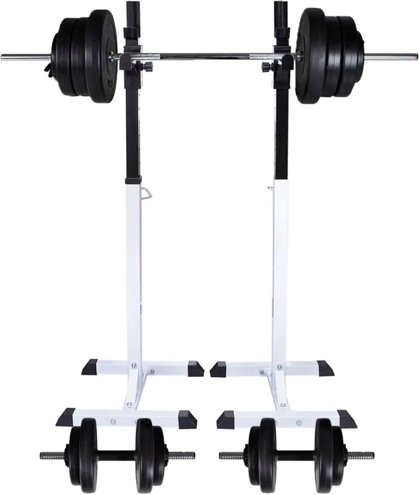 vidaXL Halter-/squatrek met halterset 60,5 kg