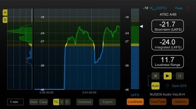 Nugen Audio VisLM-H 2