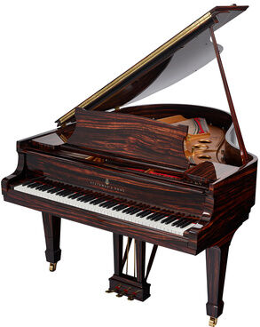 Steinway & Sons O-180 Makassar