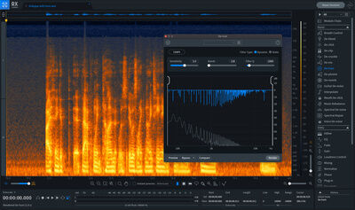 iZotope RX 9 Standard