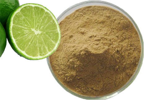 Santé Bio Citron vert entier Bio (extrait en poudre) - 250 g