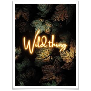 Wall-Art Poster »Wild Thing«, Schriftzug, (1 St.), Poster ohne Bilderrahmen bunt Größe