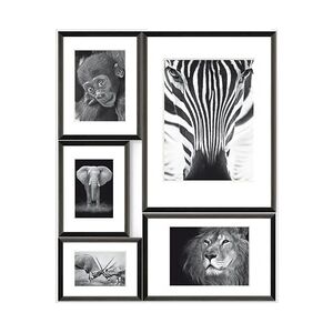 Weitere Bilderrahmen Collage Wild Africa 5 Fotos, 53 x 65 cm