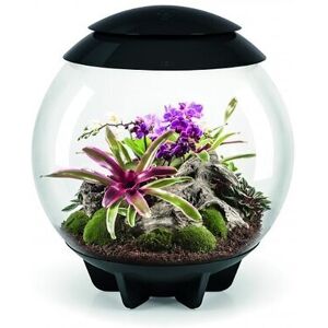 OASE terrarium décoratif 60l avec cadre noir - Air 60 black - Publicité