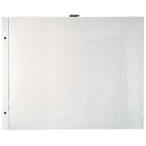 Exacompta Sachet de 10 Recharges pour album à vis pages blanches - 29x37 cm - Blanc - Lot de 3