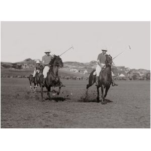 Kelepoq Photo ancienne noir et blanc cheval n°13 alu 40x60cm