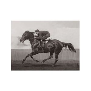 Kelepoq Photo ancienne noir et blanc cheval n°40 cadre noir 60x90cm