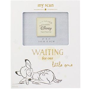 Disney Bambi My Scan baby Photo Frame 4x3