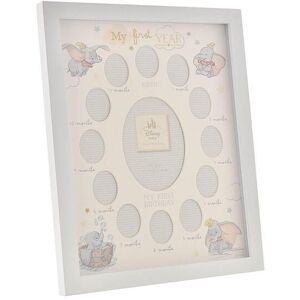 Disney Magical Beginnings Frame My 1st Year - Dumbo