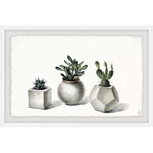 East Urban Home Planted Cacti - Picture Frame Painting Print on Paper East Urban Home Size: 41 cm H x 61 cm W x 3.81 cm D  - Size: 59cm H X 38cm W X 26cm D
