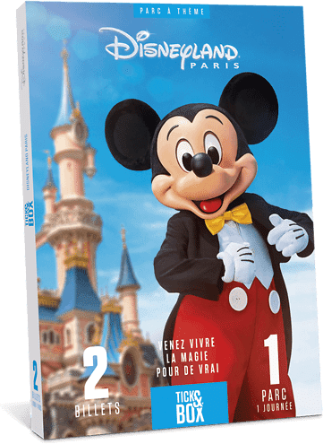 Wonderbox Coffret cadeau Disneyland Paris 1 jour / 1 parc - Wonderbox