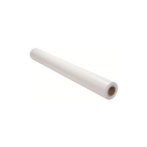 Epson PremierArt Water Resistant Canvas - Skinnende - Rulle A1 (61,0 cm x 12,2 m) - 350 g/m² - 1 rulle(r) papir på lærred - for SureColor SC-P10000,