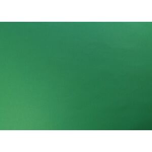 Clairefontaine CARTA, Paquet de 10 feuilles 270g/m2 sous/film au format 50x65cm - Vert Empire - Lot de 3