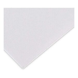 Canson Papier Bristol, 500 x 650 mm, 180 g/m2, blanc - Lot de 50