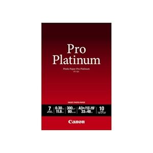 Canon Papier Photo A3 Pt-101 Pro Platinum 300gr 10 Feuilles